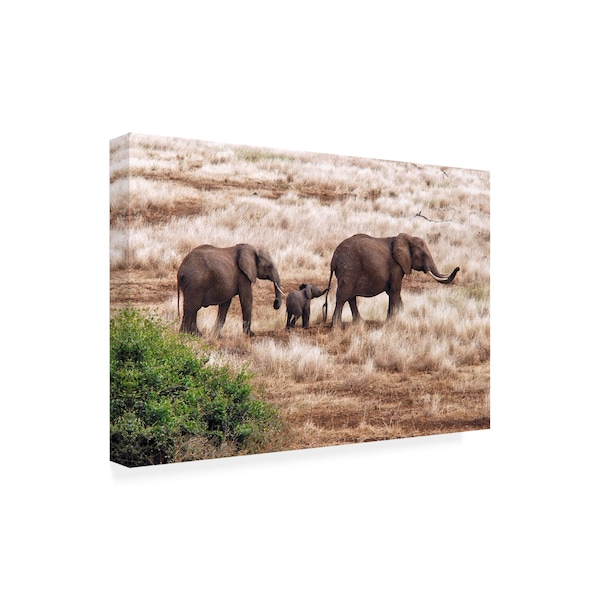 Izonevision Robert D Abramson 'Elephant Family Tanzania' Canvas Art,16x24